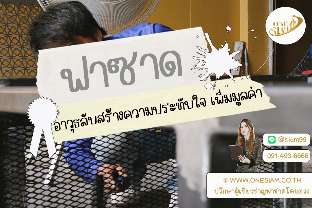 🚀 ฟาซาดตะแกรงเหล็กฉีก: อาวุธลับสร้างความประทับใจ เพิ่มมูลค่า มอบประสบการณ์